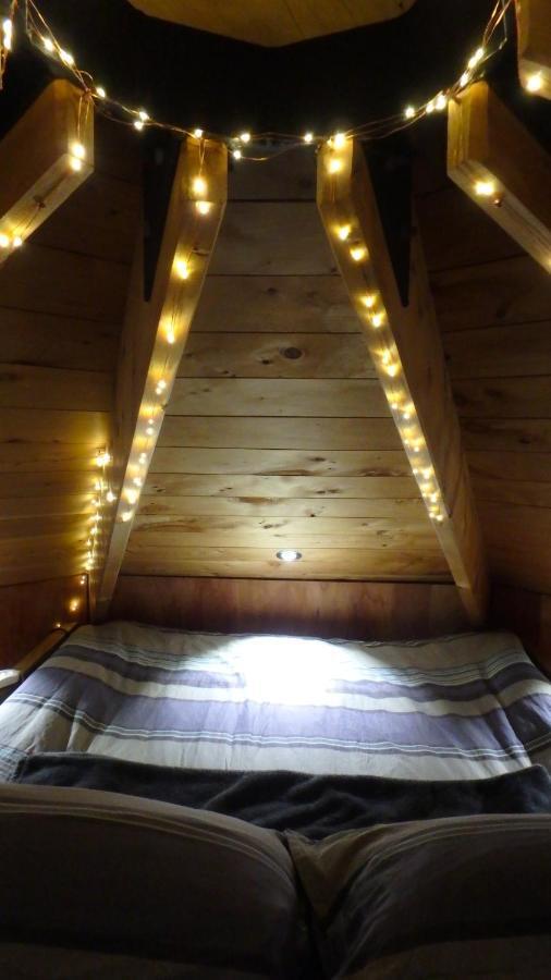 Tree House Lodge Bed & Breakfast Cheviot Exterior foto